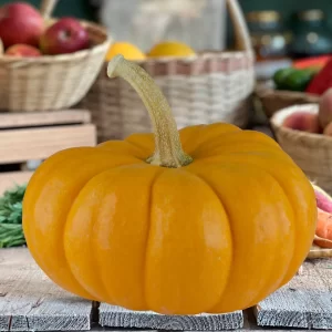 CALABAZA