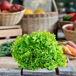 LECHUGA CRESPA VERDE