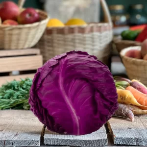 LECHUGA MORADA